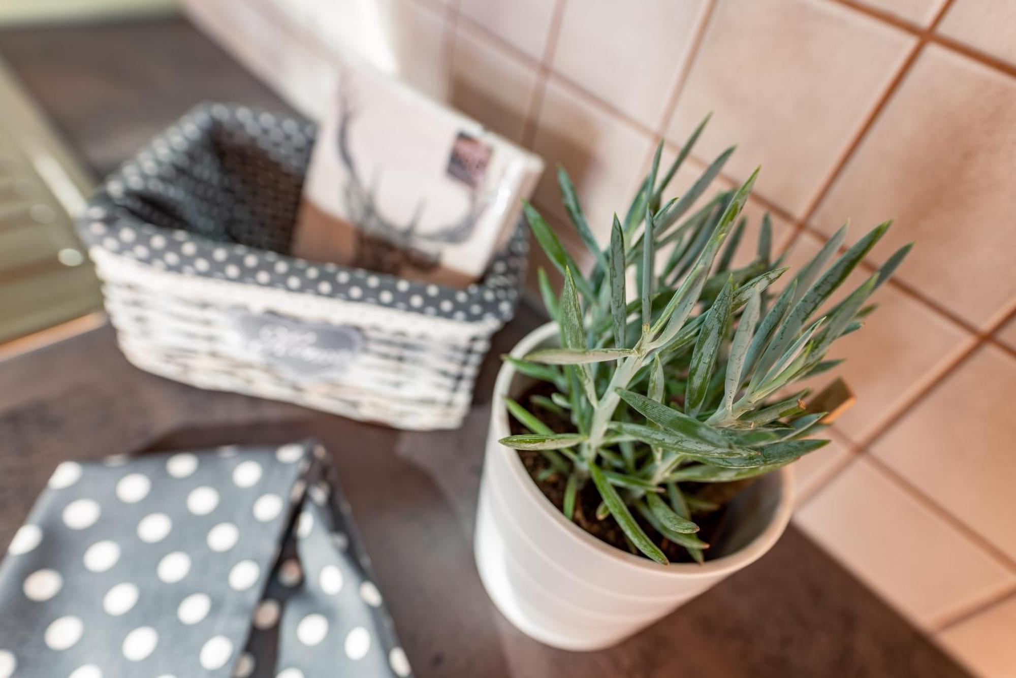 Wellnesshaus Reichelt Aparthotel Radstadt Kamer foto